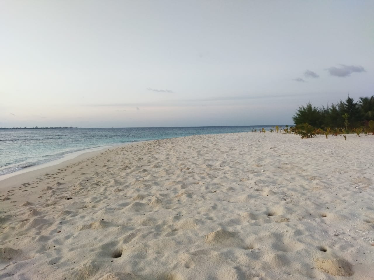 Scenic soft sand pathway lined with mini palm saplings outside the windows